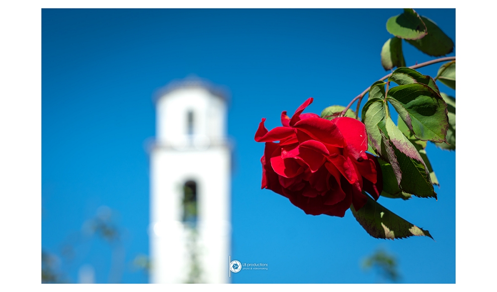 A NOVA GORICA TORNA IL FESTIVAL DELLE ROSE – 21ª EDIZIONE