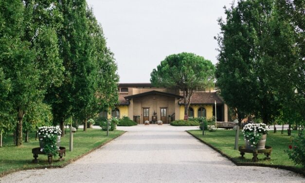 STAJNBECH, l’eleganza del Veneto Orientale conquista la critica internazionale