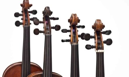 SETTIMO ED ULTIMO APPUNTAMENTO DELL’EDIZIONE PRIMAVERA 2026 DEL CICLO “LE STANZE DELLA MUSICA” DEDICATO AGLI STRUMENTI AD ARCO