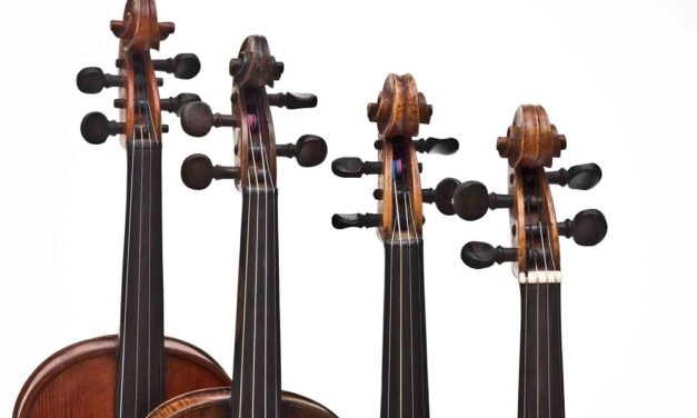 SETTIMO ED ULTIMO APPUNTAMENTO DELL’EDIZIONE PRIMAVERA 2026 DEL CICLO “LE STANZE DELLA MUSICA” DEDICATO AGLI STRUMENTI AD ARCO