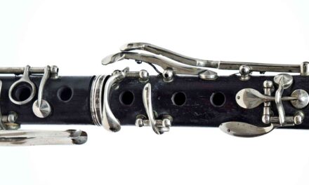 LE STANZE DELLA MUSICA, MERCOLEDÌ 15 APRILE IL CLARINETTO PROTAGONISTA A PALAZZO GOPCEVICH