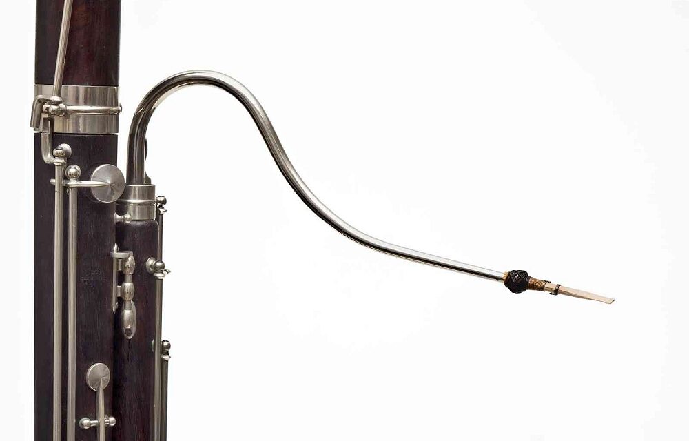 “LE STANZE DELLA MUSICA”: ULTIMO APPUNTAMENTO DELLA STAGIONE CON OBOE E FAGOTTO PROTAGONISTI A PALAZZO GOPCEVICH