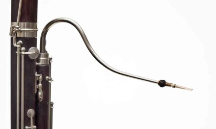 “LE STANZE DELLA MUSICA”: ULTIMO APPUNTAMENTO DELLA STAGIONE CON OBOE E FAGOTTO PROTAGONISTI A PALAZZO GOPCEVICH