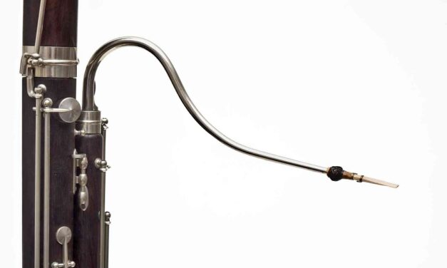 “LE STANZE DELLA MUSICA”: ULTIMO APPUNTAMENTO DELLA STAGIONE CON OBOE E FAGOTTO PROTAGONISTI A PALAZZO GOPCEVICH