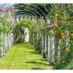 Il Castello di Thiene nel tempo delle rose: il 25 e 26 aprile nel pieno della fioritura