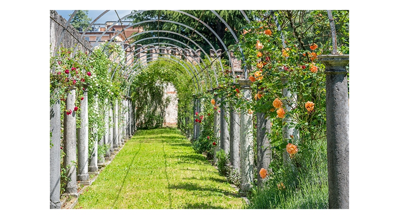 Il Castello di Thiene nel tempo delle rose: il 25 e 26 aprile nel pieno della fioritura
