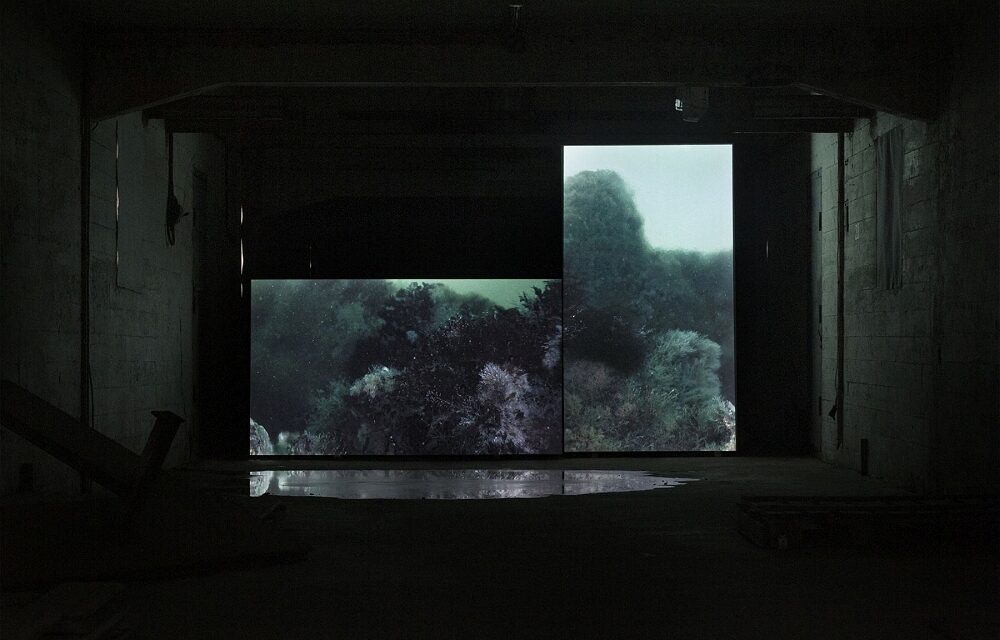 “LA GRANDE CECITÀ” ED EMERGENZA CLIMATICA: TRA SCIENZA E ARTE IL GEOLOGO FABIO TRINCARDI INCONTRA IL PUBBLICO A CASA CAVAZZINI