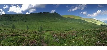 IL CLIMA SI GIOCA ANCHE NEI PRATI, RIVALUTATA L’IMPORTANZA DA UNO STUDIO INTERNAZIONALE CON L’UNIVERSITÀ DI UDINE