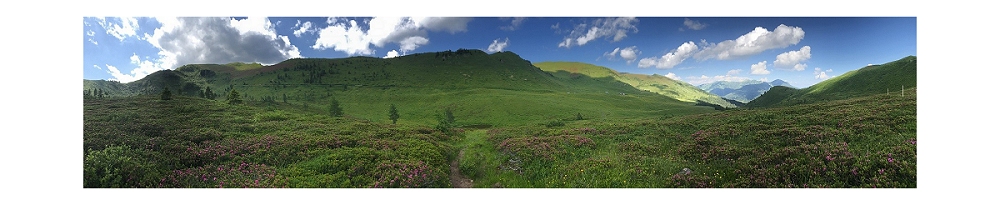 IL CLIMA SI GIOCA ANCHE NEI PRATI, RIVALUTATA L’IMPORTANZA DA UNO STUDIO INTERNAZIONALE CON L’UNIVERSITÀ DI UDINE