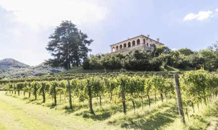 VINI EUGANEI A VILLA DEI VESCOVI: eccellenze enologiche in Villa