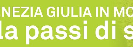 Lunedì 25 maggio, ore 15, presso l’ Università di Udine “Alleanze per la Salute pubblica.  Informare per stare bene e restare attivi. “FVG IN MOVIMENTO. 10mila passi di Salute” 2019 – 2026, risultati e proposte”