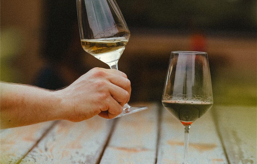 BRINDISI E STORIE TRA LE COLLINE DELLA REGIONE: IN OLTRE 50 MILA PER CANTINE APERTE FVG