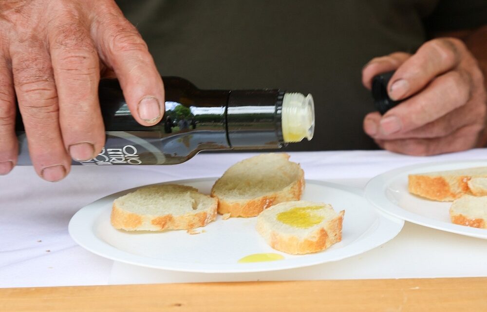 OLIO E DINTORNI: A VILLA MASERI TRE GIORNI DEDICATI ALL’EXTRAVERGINE DEL FRIULI VENEZIA GIULIA: DATI, CONVEGNI, ASSAGGI, PREMIO OLIO DELL’ABBATE-MASERI, ARTE, MUSICA, SPORT E PERCORSI NEL TERRITORIO