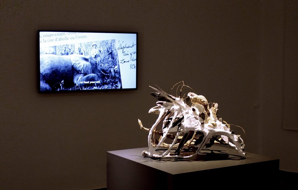 Alla Triennale di Milano la presentazione del catalogo della mostra “AAA Animal Among Animals. Towards the World to Come”