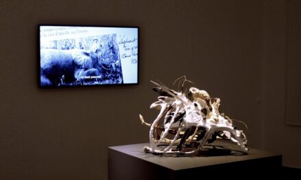 Alla Triennale di Milano la presentazione del catalogo della mostra “AAA Animal Among Animals. Towards the World to Come”