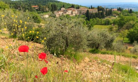 Capitale Rurale Italiana: al via le candidature per l’edizione 2026
