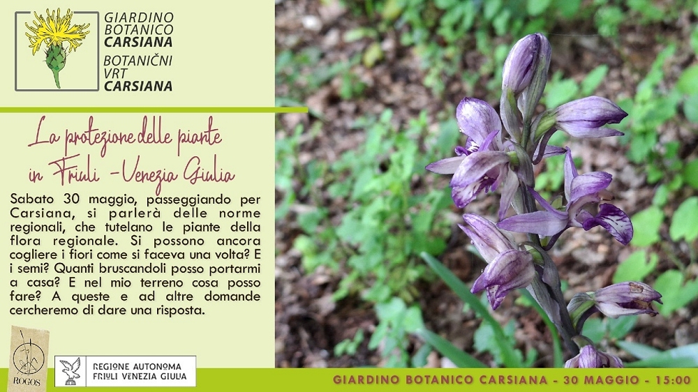 La protezione delle piante in Friuli Venezia Giulia al Giardino botanico Carsiana