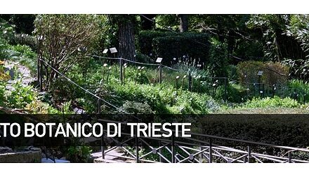 Microcosmi nel giardino di Marchesetti con Andrea Colla: evento al Civico Orto Botanico