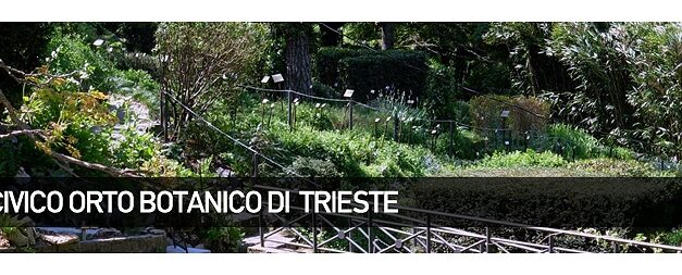 Microcosmi nel giardino di Marchesetti con Andrea Colla: evento al Civico Orto Botanico