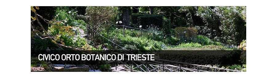 Microcosmi nel giardino di Marchesetti con Andrea Colla: evento al Civico Orto Botanico