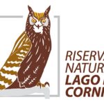 SCIACALLO E LONTRA, LA DIFFUSIONE A NORDEST: IL PUNTO SULLA PRESENZA DELLE DUE SPECIE IL 9 MAGGIO ALLA RISERVA DI CORNINO