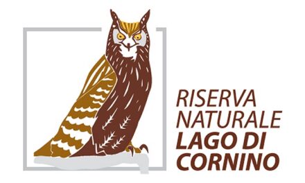 SCIACALLO E LONTRA, LA DIFFUSIONE A NORDEST: IL PUNTO SULLA PRESENZA DELLE DUE SPECIE IL 9 MAGGIO ALLA RISERVA DI CORNINO