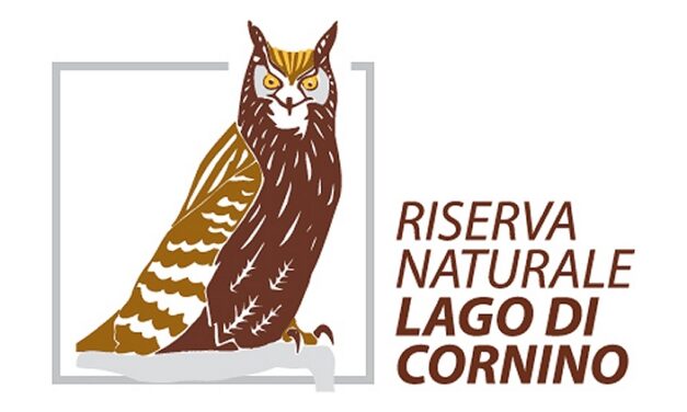 SCIACALLO E LONTRA, LA DIFFUSIONE A NORDEST: IL PUNTO SULLA PRESENZA DELLE DUE SPECIE IL 9 MAGGIO ALLA RISERVA DI CORNINO