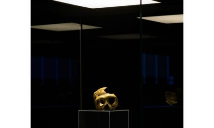 AL MUSEO D’ANTICHITÀ “J.J. WINCKELMANN LA MOSTRA “CRANIO C. PATRIMONIO PALEOANTROPOLOGICO MONDIALE”