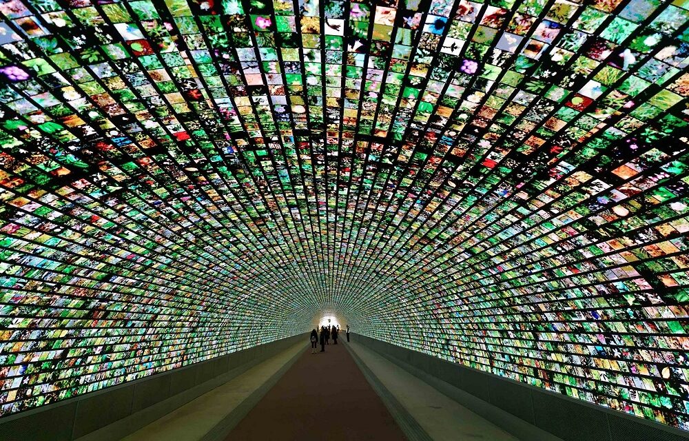 ESTATE ALLA DIGITAL ART GALLERY: NUOVI ORARI DAL 1° GIUGNO AL 30 SETTEMBRE