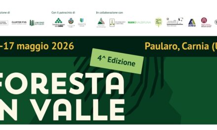 Foresta in Valle 2026: torna la grande festa del legno e delle foreste