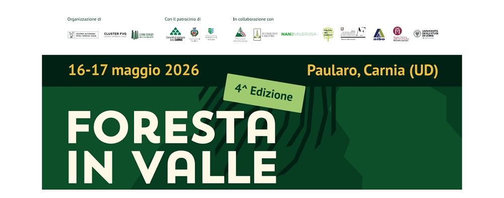 Foresta in Valle 2026: torna la grande festa del legno e delle foreste