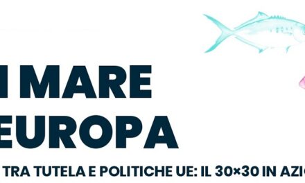 GIOVEDÌ 28 MAGGIO ALLE 14.30 NELLA TENSOSTRUTTURA DI MARE NORDEST IN PIAZZA UNITÀ D’ITALIA CONFERENZA “UN MARE D’EUROPA”, PER SENSIBILIZZARE LA CITTADINANZA SUL RISPETTO E LA TUTELA DEL MARE