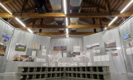 Culture e paesaggi del vino. Il senso della terra e la voce dell’architettura: mostra a Ca’ Scarpa, Treviso