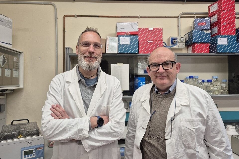 BIOTECNOLOGIE INNOVATIVE, UDINE CAPOFILA DI UN PROGETTO EUROPEO DI 4,5 MILIONI DI EURO PER DIAGNOSI E TERAPIE D’AVANGUARDIA
