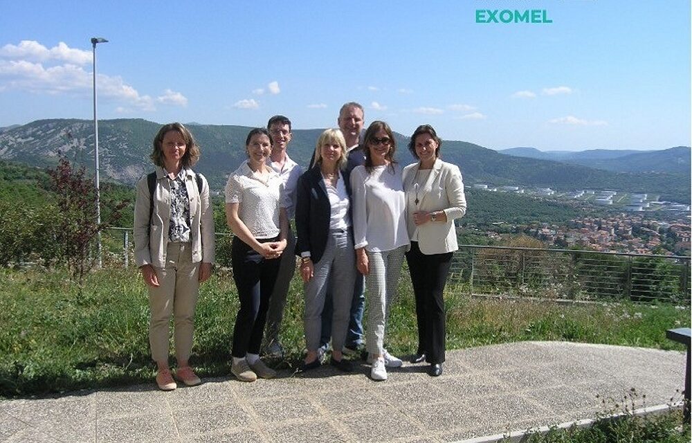 Al via EXOMEL: progetto coordinato dall’Università di Trieste per rendere più mirate le cure del melanoma avanzato