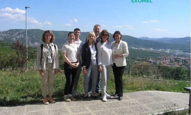 Al via EXOMEL: progetto coordinato dall’Università di Trieste per rendere più mirate le cure del melanoma avanzato