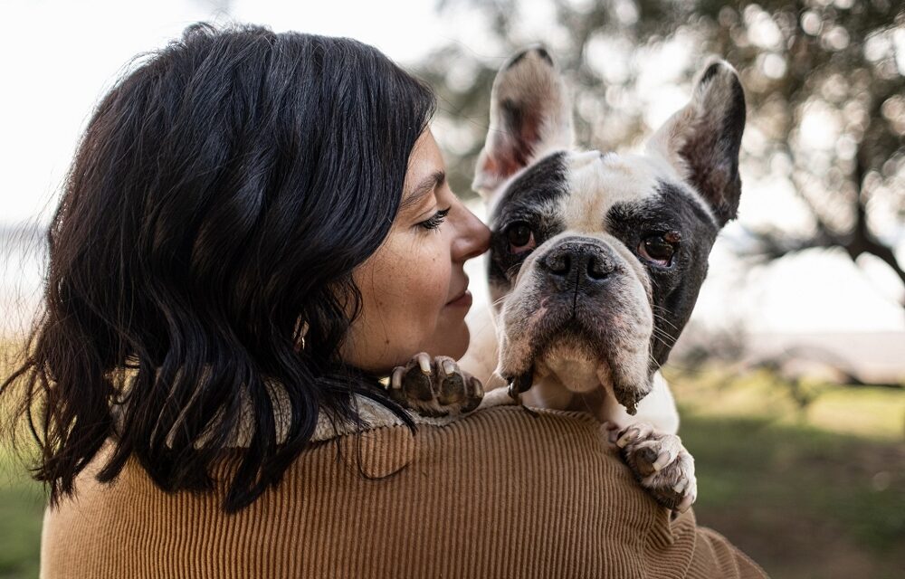 La storia della cagnolina malata Greta diventa una startup: nasce VetBook, il sistema per trovare specialisti veterinari anche nei casi più complessi