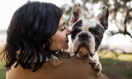 La storia della cagnolina malata Greta diventa una startup: nasce VetBook, il sistema per trovare specialisti veterinari anche nei casi più complessi