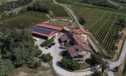 Confagricoltura Fvg: viticoltura ed energia, un incontro su risparmio e sostenibilità