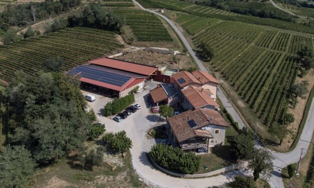 Confagricoltura Fvg: viticoltura ed energia, un incontro su risparmio e sostenibilità