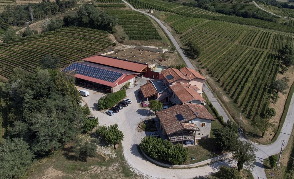 Confagricoltura Fvg: viticoltura ed energia, un incontro su risparmio e sostenibilità