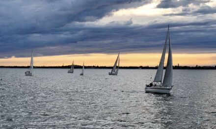 41ª Transadriatica: Seven J Seven e Ozons dominano la Venezia–Novigrad