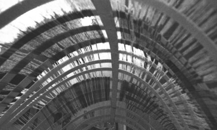 VENERDÌ 5 GIUGNO ALLE ORE 11 INAUGURAZIONE DELL’INSTALLAZIONE IMMERSIVA SITE-SPECIFIC “BALENA”, IDEATA E REALIZZATA DALL’ARTISTA MARÍA SÁNCHEZ PUYADE