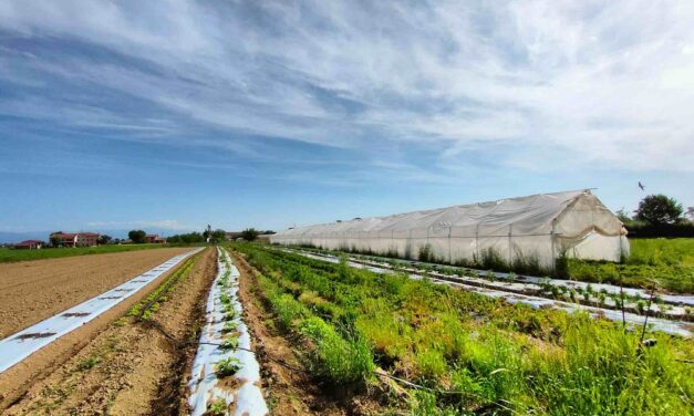 GIORNATA MONDIALE DELL’AMBIENTE: CADEL ANNUNCIA LA COLLABORAZIONE CON TREEDOM A SOSTEGNO DELLA FATTORIA BIOLOGICA E SOCIALE “AL CONFIN”