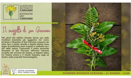 Erbe solstiziali, tra memorie arcaiche e cosmologie vegetali al Giardino botanico Carsiana