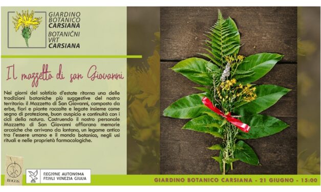 Erbe solstiziali, tra memorie arcaiche e cosmologie vegetali al Giardino botanico Carsiana