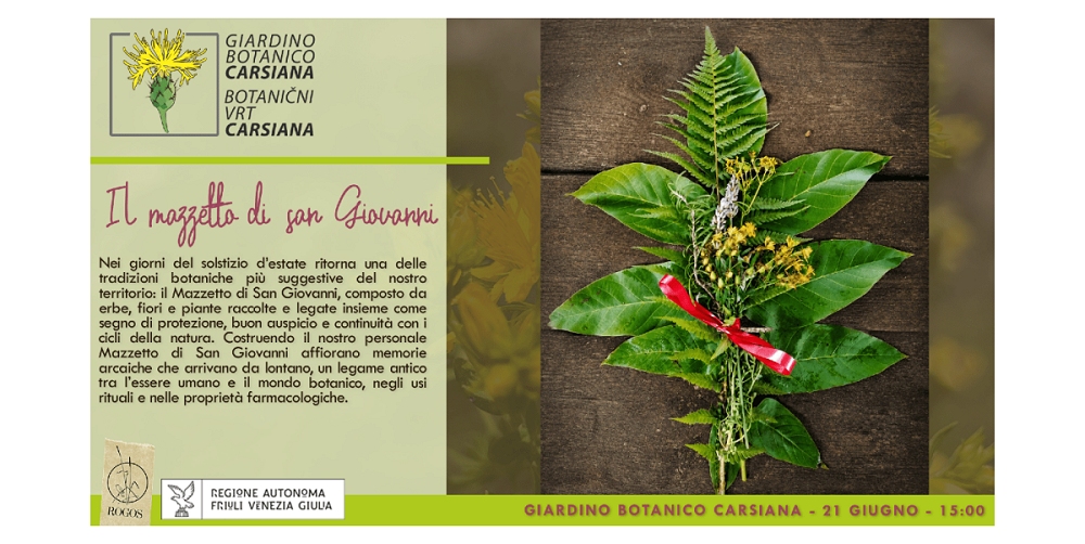 Erbe solstiziali, tra memorie arcaiche e cosmologie vegetali al Giardino botanico Carsiana