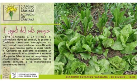 I segreti dell’orto sinergico al Giardino botanico Carsiana