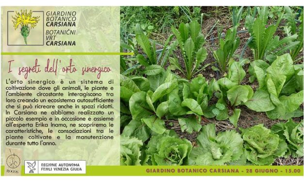 I segreti dell’orto sinergico al Giardino botanico Carsiana