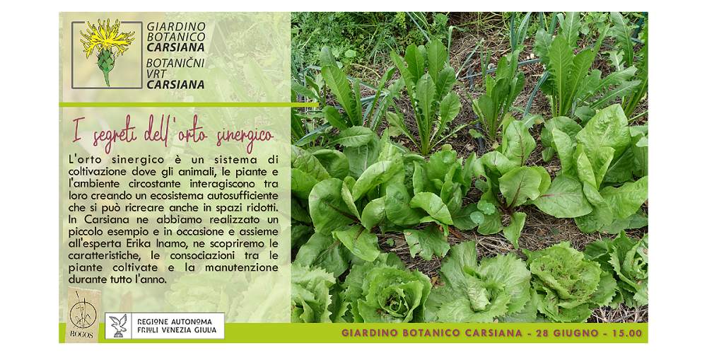 I segreti dell’orto sinergico al Giardino botanico Carsiana